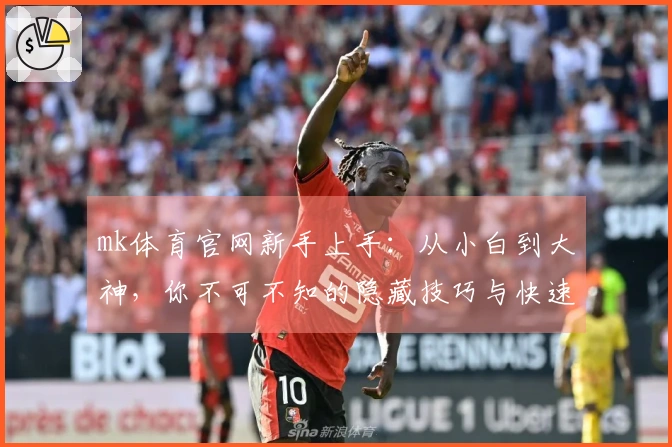mk体育官网新手上手：从小白到大神，你不可不知的隐藏技巧与快速进阶之路