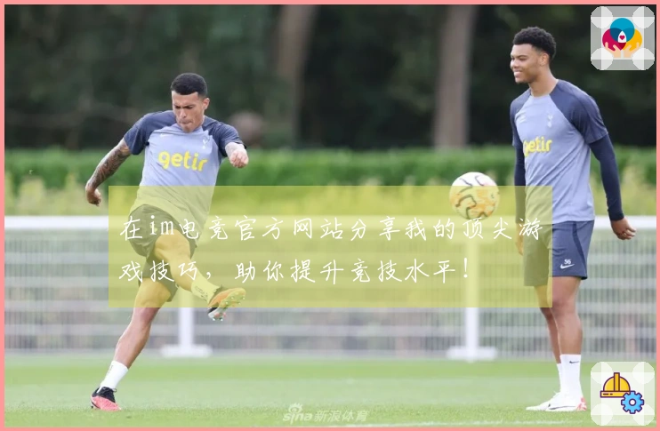 在im电竞官方网站分享我的顶尖游戏技巧，助你提升竞技水平！