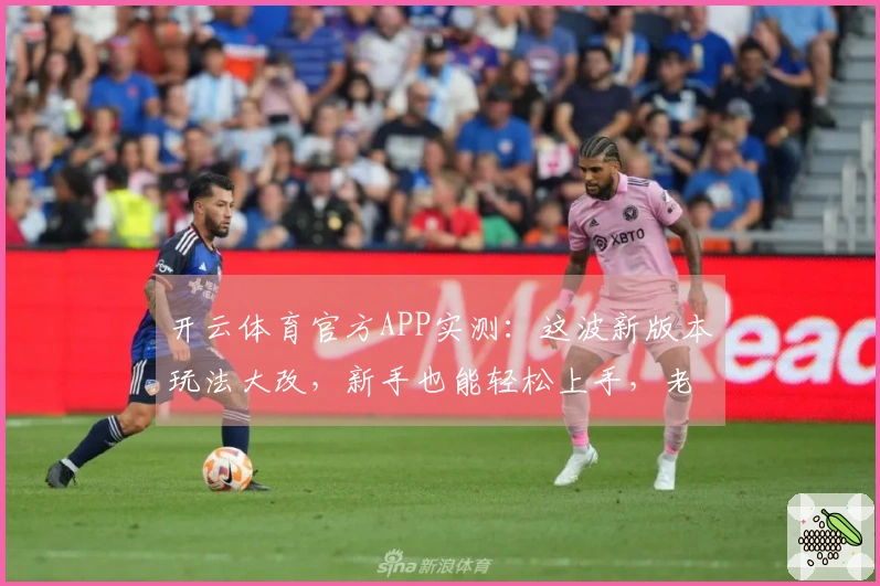 开云体育官方APP实测：这波新版本玩法大改，新手也能轻松上手，老玩家速看！