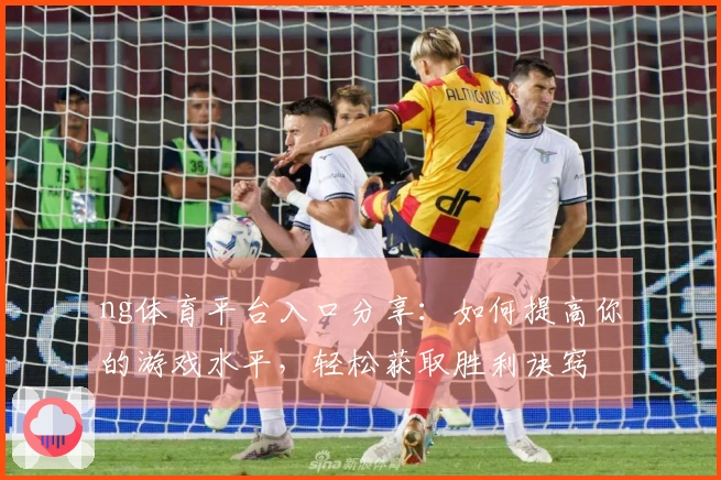 ng体育平台入口分享：如何提高你的游戏水平，轻松获取胜利诀窍